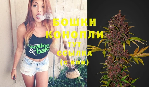 кокс Баксан